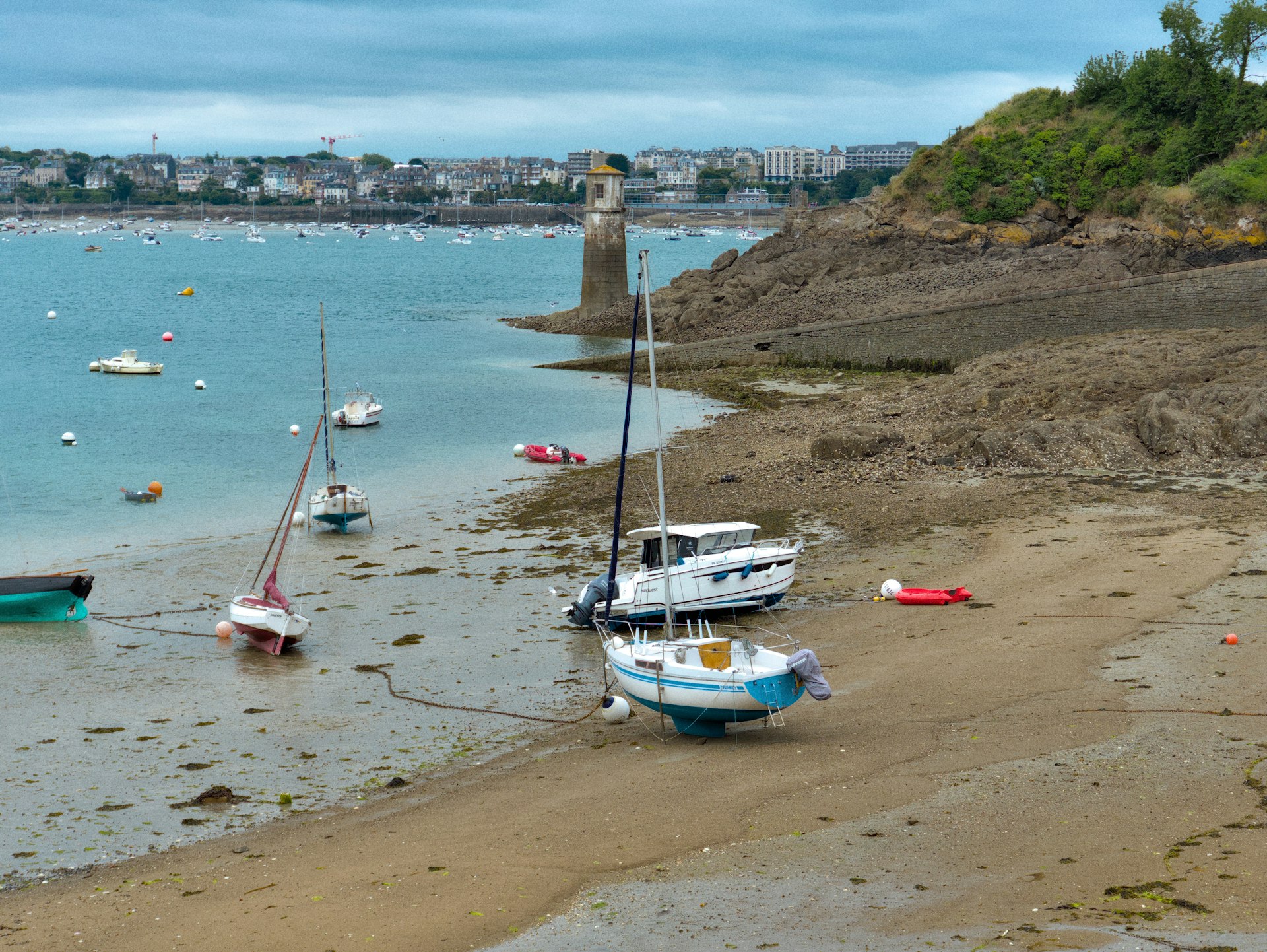 Director's Blog - March 2025